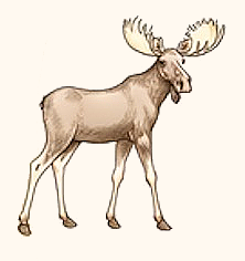 Description of image